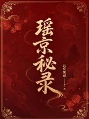 瑶京秘录封面