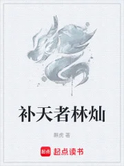 补天者林灿封面