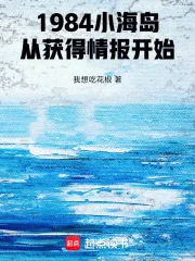 1984小海岛,从获得情报开始封面