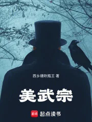美武宗封面