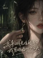 离异白月光住婚房?我剪碎婚纱不回头封面