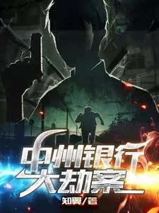 中州银行大劫案封面