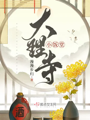 大理寺小饭堂封面