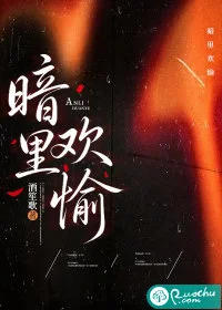 暗里欢愉封面