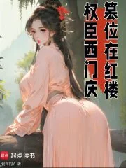 权臣西门庆,篡位在红楼封面
