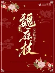 魏庭枝封面