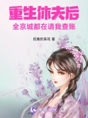 重生休夫后,全京城都在请我查账封面