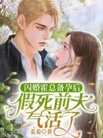 闪婚霍总备孕后,假死前夫气活了封面