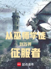 从巫师学徒到万界征服者封面