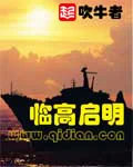 临高启明封面