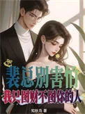 裴总别害怕,我只图财不图你的人封面
