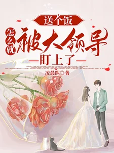 送个饭,怎么就被大领导盯上了封面