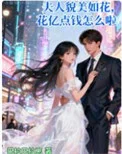 夫人貌美如花,花亿点钱怎么啦!封面