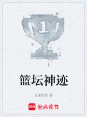 篮坛神迹封面