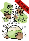起初,我只是想找个冤大头封面