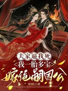 夫家逼我死我一胎多宝嫁绝嗣国公封面