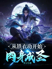 从铁衣功开始肉身成圣封面