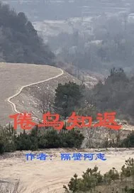倦鸟知返封面