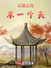 红楼之先杀一个夫封面