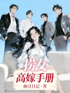 捞女高嫁手册封面
