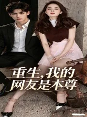 重生,我的网友是本尊封面