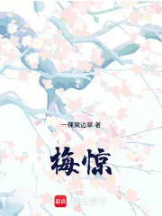 梅惊封面