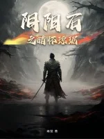 阴阳石之暗怀琼琚封面