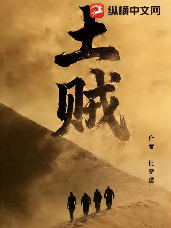 土贼封面