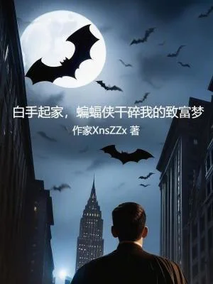 白手起家,蝙蝠侠干碎我的致富梦封面