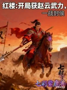 红楼:开局获赵云武力,一战封侯封面