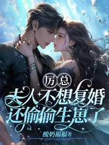 厉总,夫人不想复婚还偷偷生崽了封面