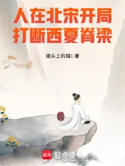 人在北宋，开局打断西夏脊梁！封面