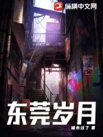 东莞岁月封面
