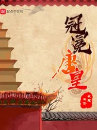 冠冕唐皇封面