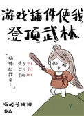 游戏外挂使我登顶武林封面