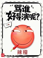 骂谁好导演呢?封面