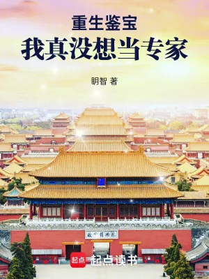 重生鉴宝：我真没想当专家封面