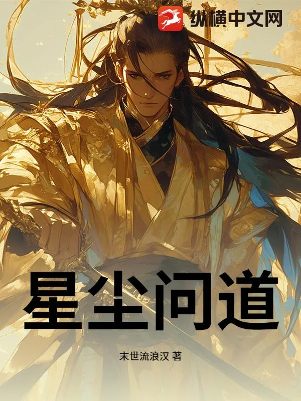 星尘问道封面