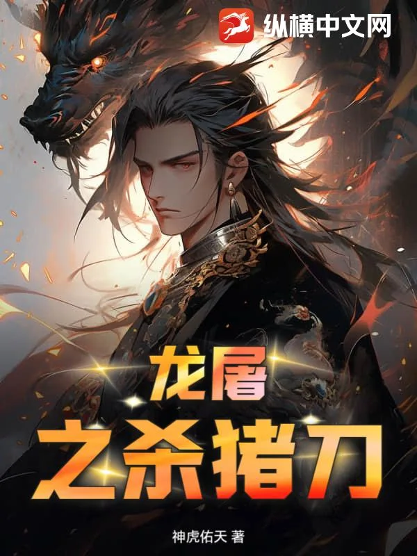 龙屠之杀猪刀封面