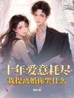 十年爱意耗尽，我提离婚你哭什么封面