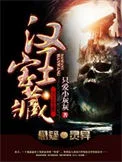 汉王宝藏封面