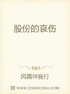 股份的哀伤封面