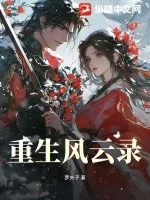 重生风云录封面