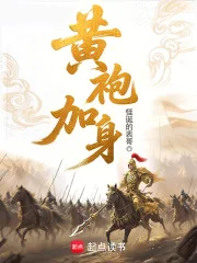 黄袍加身封面