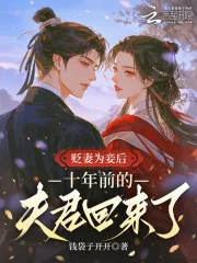 贬妻为妾后,十年前的夫君回来了封面