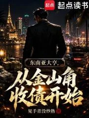 东南亚教父,从金山角收债开始封面
