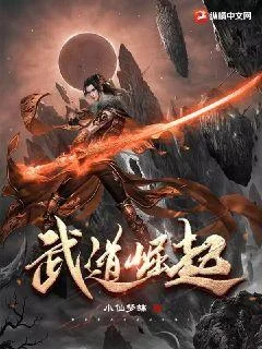 武道崛起封面