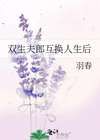 双生夫郎互换人生后封面