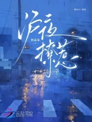 沪夜撩惹封面