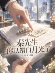 秦先生,你认错白月光了封面